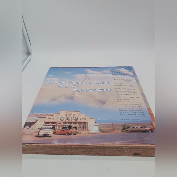 Natural Born Killers Laserdisc Director's Cut Box Set Sealed Discs - Picture 4 of 12